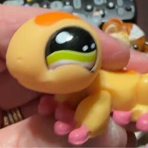 Littlest Pet Shop Orange and Pink Toy